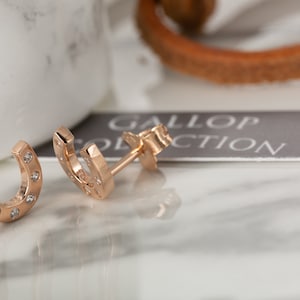 Rose Gold Horseshoe Earrings, with sparkly stones.The perfect earrings for horse lovers.