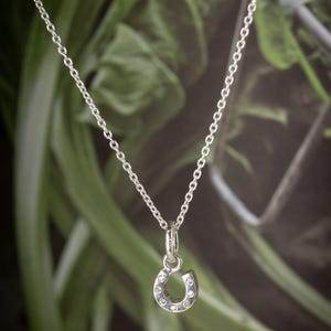 Sparkly Horseshoe Pendant: Sterling Silver Necklace, Cubic Zirconia