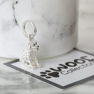 May include: A silver-colored dog charm with a textured coat, black eyes, and a red tongue. The charm is attached to a ring and sits on a card with the text "Woof Collection" and a paw print.