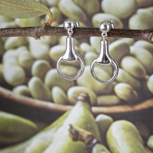 May include: A pair of silver stud earrings. Each earring has a small ball at the top, connected to a vertical bar and a circular ring. The earrings are displayed on a small branch against a blurred background.