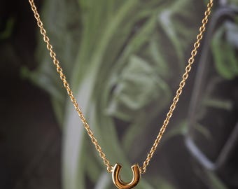 Op de afbeelding: Een goudkleurige hoefijzer hanger ketting. De hoefijzer hanger is gecentreerd op een delicate ketting. De achtergrond is een wazige afbeelding van groen gebladerte.
