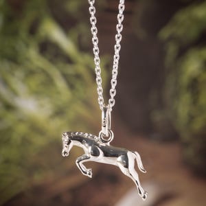 Zilveren paardenketting, paardenhanger, beeldje van paard, paardensieraden, paardenbedel, paarden, paardencharmes, paardensportsieraden, paardensport
