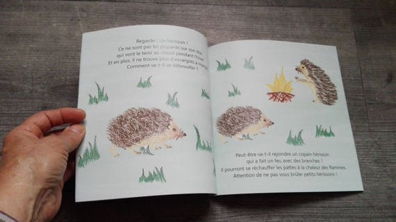 Livre Nature Mais Comment Font Ils En Hiver - 