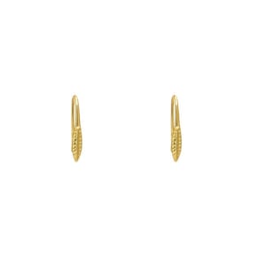 May include: A pair of gold hoop earrings with a textured design.