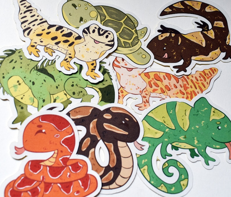 Reptile Stickers Exotic Pet Stickers Snake Stickers Lizard Etsy