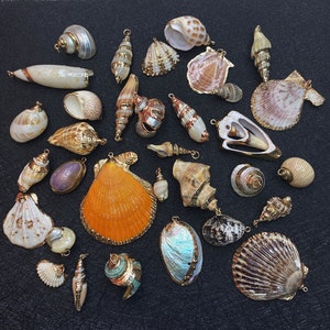 May include: A collection of seashells with gold accents, some are painted with gold, others have gold trim. The shells are arranged on a dark surface.