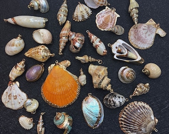 May include: A collection of seashells with gold accents, some are painted with gold, others have gold trim. The shells are arranged on a dark surface.