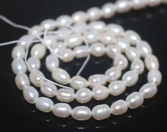 AA Natural Freshwater Pearls Rice Beads,Pearls Beads,Natural pearls Beads Wholesale Supply,one strand 14"