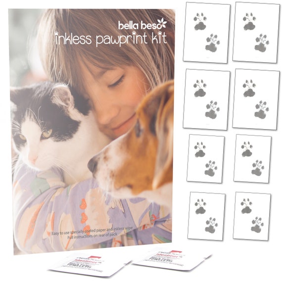 cat paw print kit