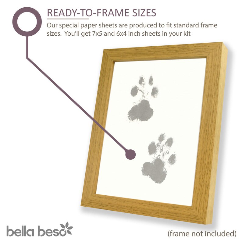 Dog and Cat Pet Paw Print Inkless Kit 1 Wipe & 6 Sheets Etsy