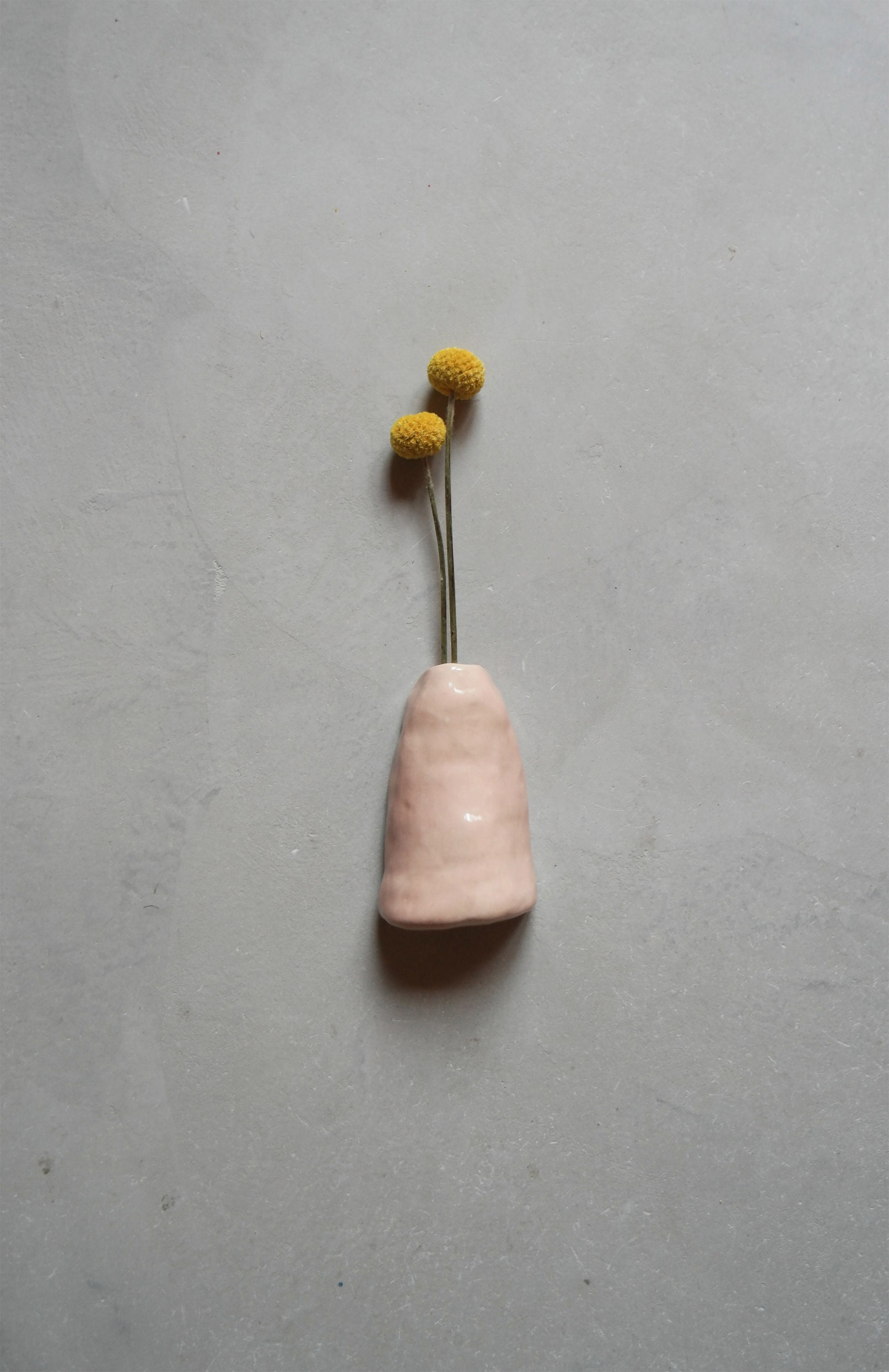 Vase Mural/Soliflore Rose en Céramique Pour Fleurs Séchées