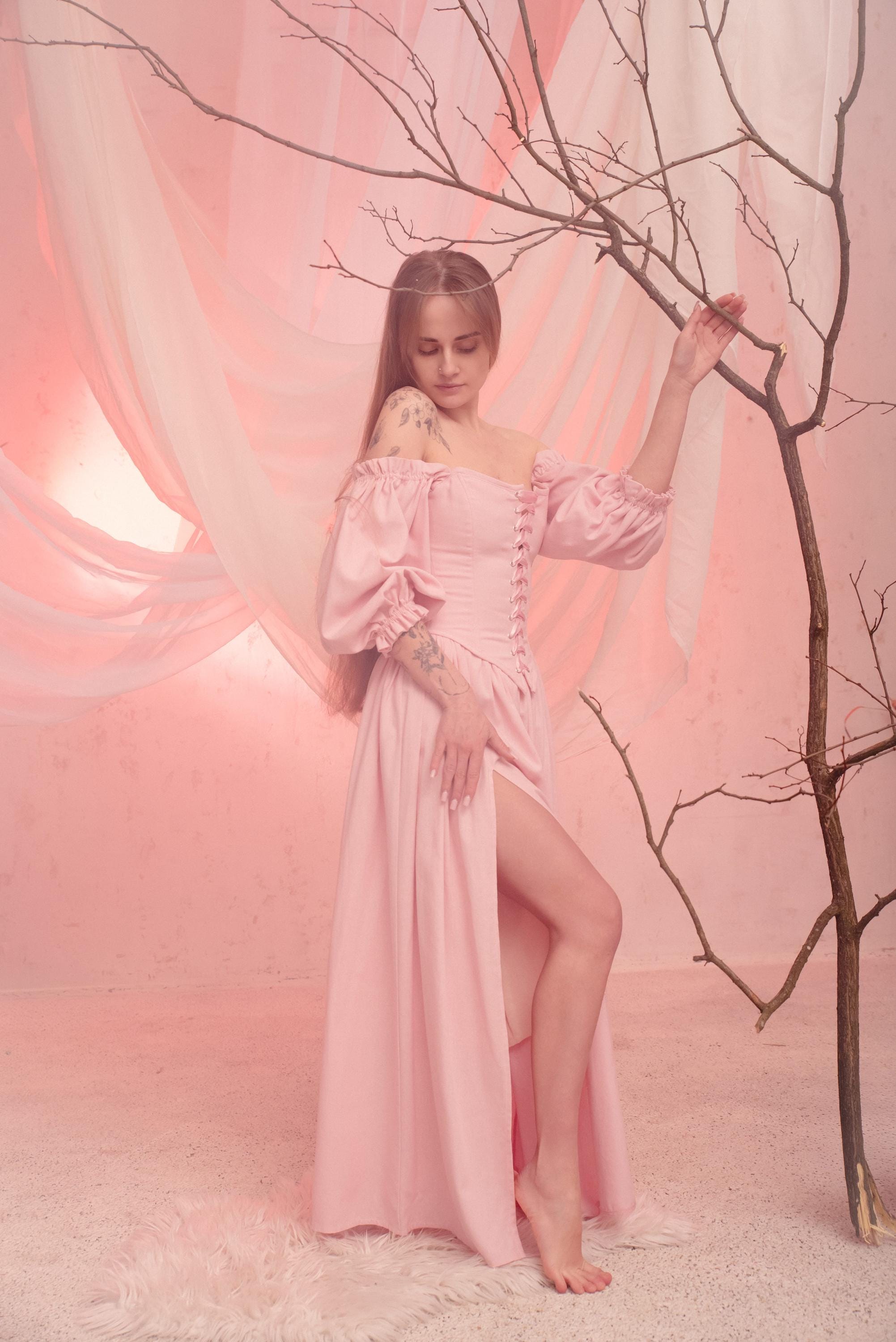 chinese dress ladies Handmade Pink and White Toile Renaissance Bodice – French Meadows