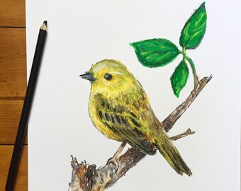 Yellow warbler bird illustration wildlife art drawing | Original impressionist oil pastel sketch on A4 paper