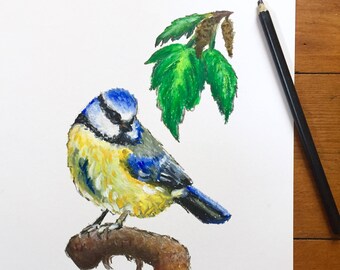 Bluetit bird illustration wildlife art drawing | Original impressionist oil pastel sketch on A4 paper