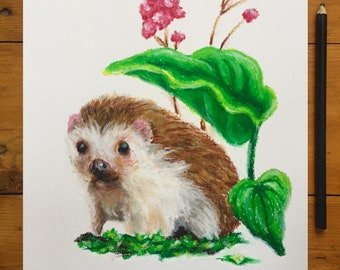 Hedgehog illustration wildlife art drawing | Original impressionist oil pastel sketch on A4 paper