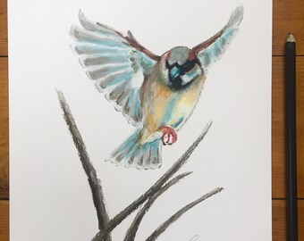 House sparrow in flight bird illustration wildlife art drawing | Original impressionist oil pastel sketch on A4 paper