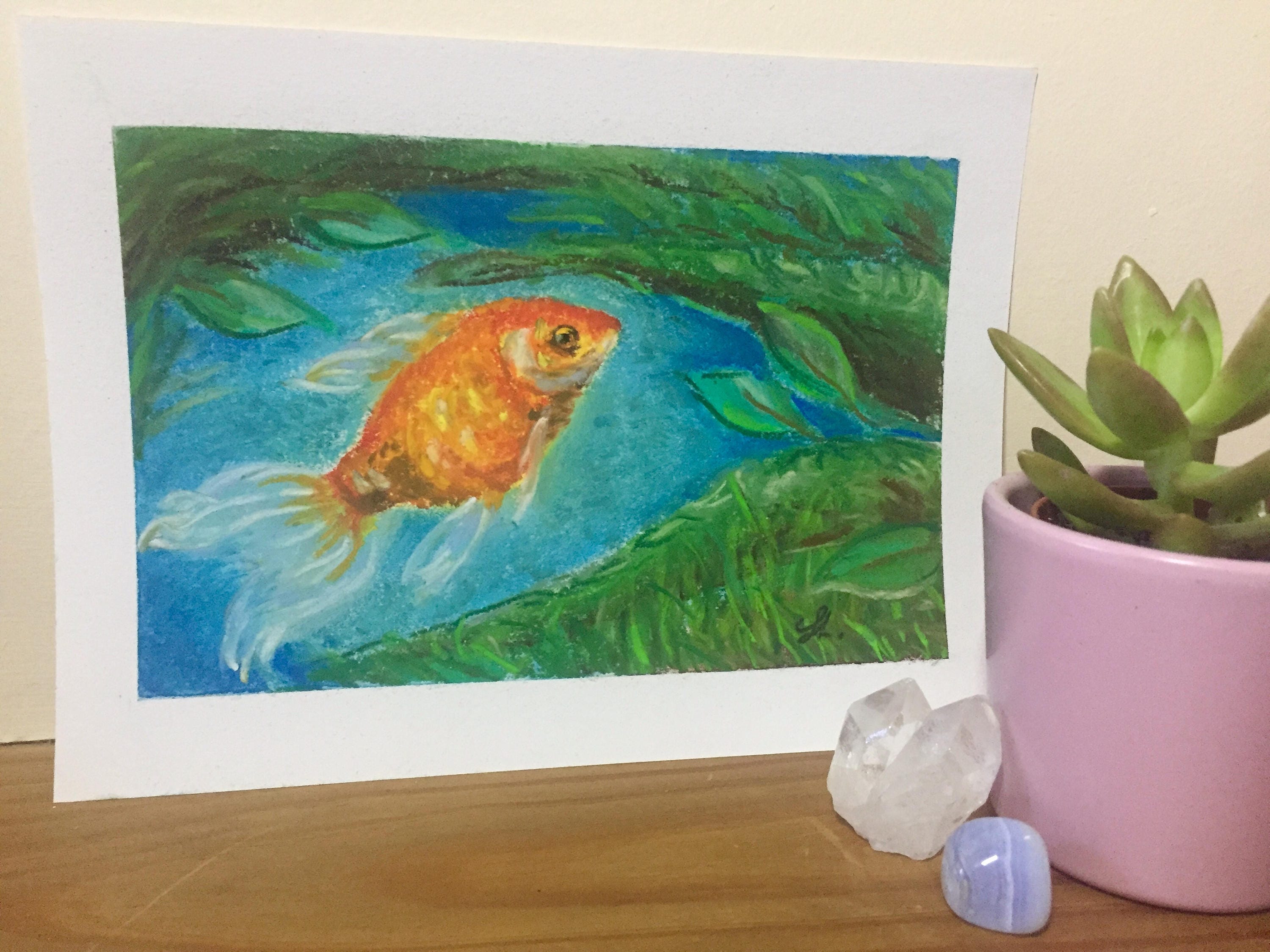 draw a fish and find it in the virtual aquarium draw a fish and find it in the virtual aquarium