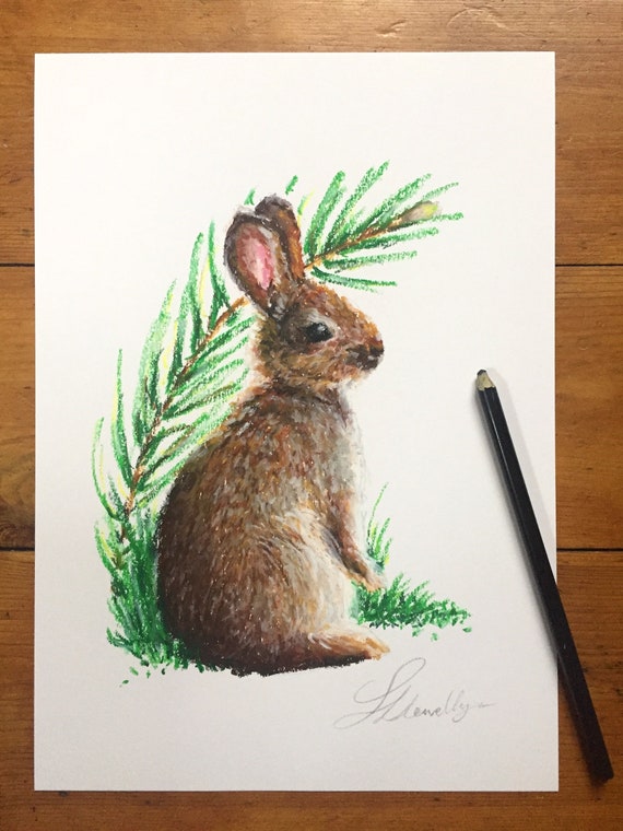 Brown Rabbit Oil Pastel Illustration Forest Animal Art - Etsy UK Brown Rabbit Oil Pastel Illustration Forest Animal Art - Etsy UK