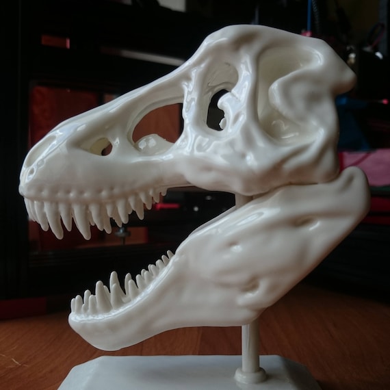 t rex skull 3d model
