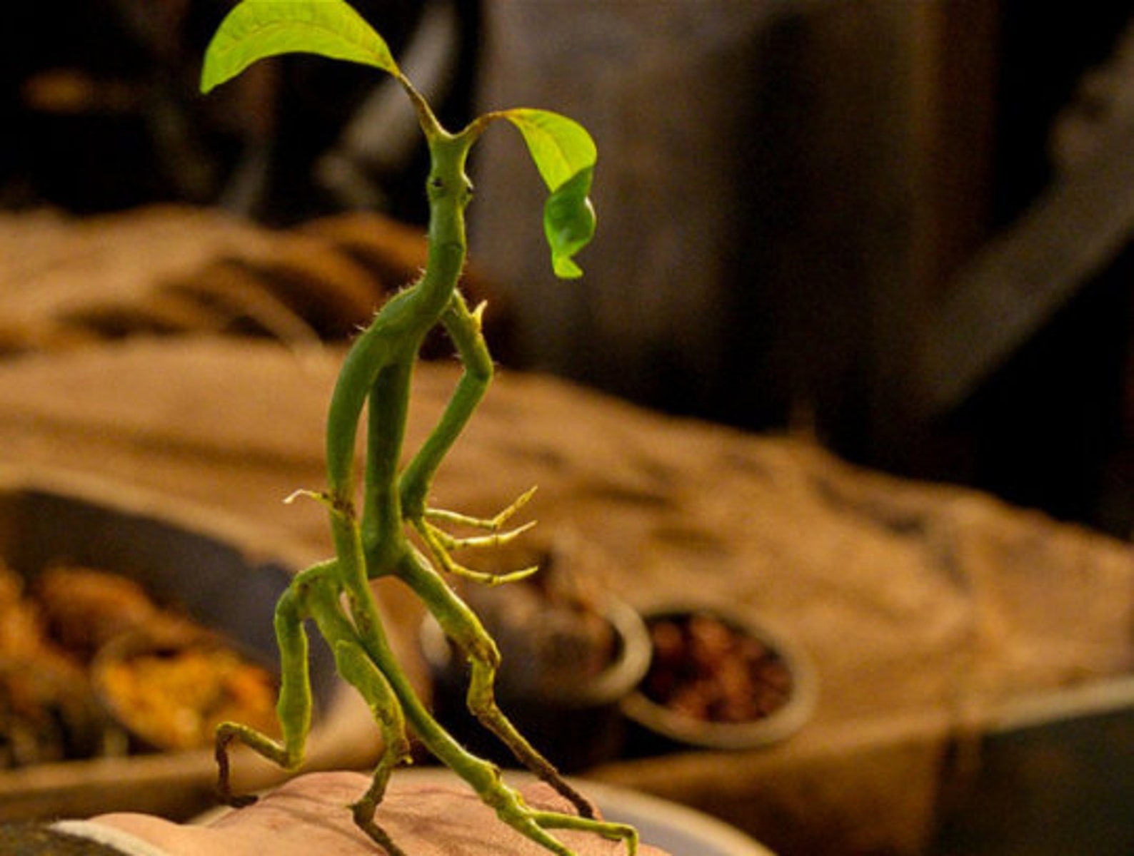 Picket sculpture Bowtruckle figurine Newt Scamander Etsy