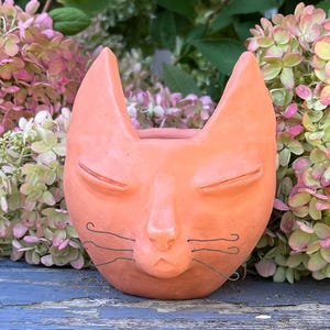 May include: A peach-colored ceramic planter shaped like a cat head with pointed ears, closed eyes, and thin, dark wire whiskers protruding from the muzzle area. The surface has a matte finish and a hollow opening at the top.