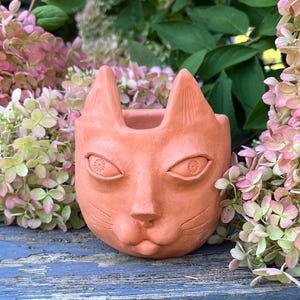 May include: A terracotta-colored ceramic planter shaped like a cat head. The planter features pointed ears, almond-shaped eyes with floral-like centers, a small nose, and etched whiskers on the cheeks. The top is open for planting.