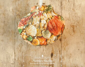 Hanging Shell Decoration on a Giant Scallop Shell by Netties Shells