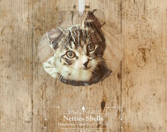 Hanging Cat Kitten Decoration on a Giant Scallop Shell by Netties Shells