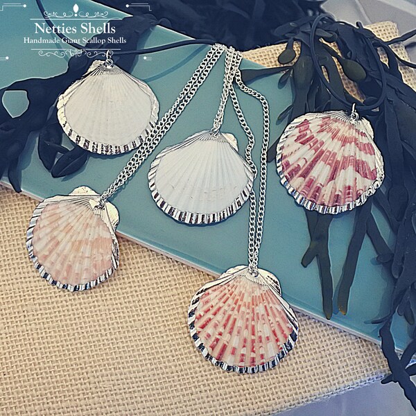 Shell Necklace Etsy