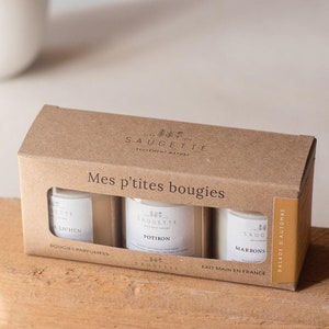 Coffret Balade d’automne - 3 Bougies artisanales parfumées à la cire de soja naturelle - Mousse et Lichen, Potiron et Marrons chauds.