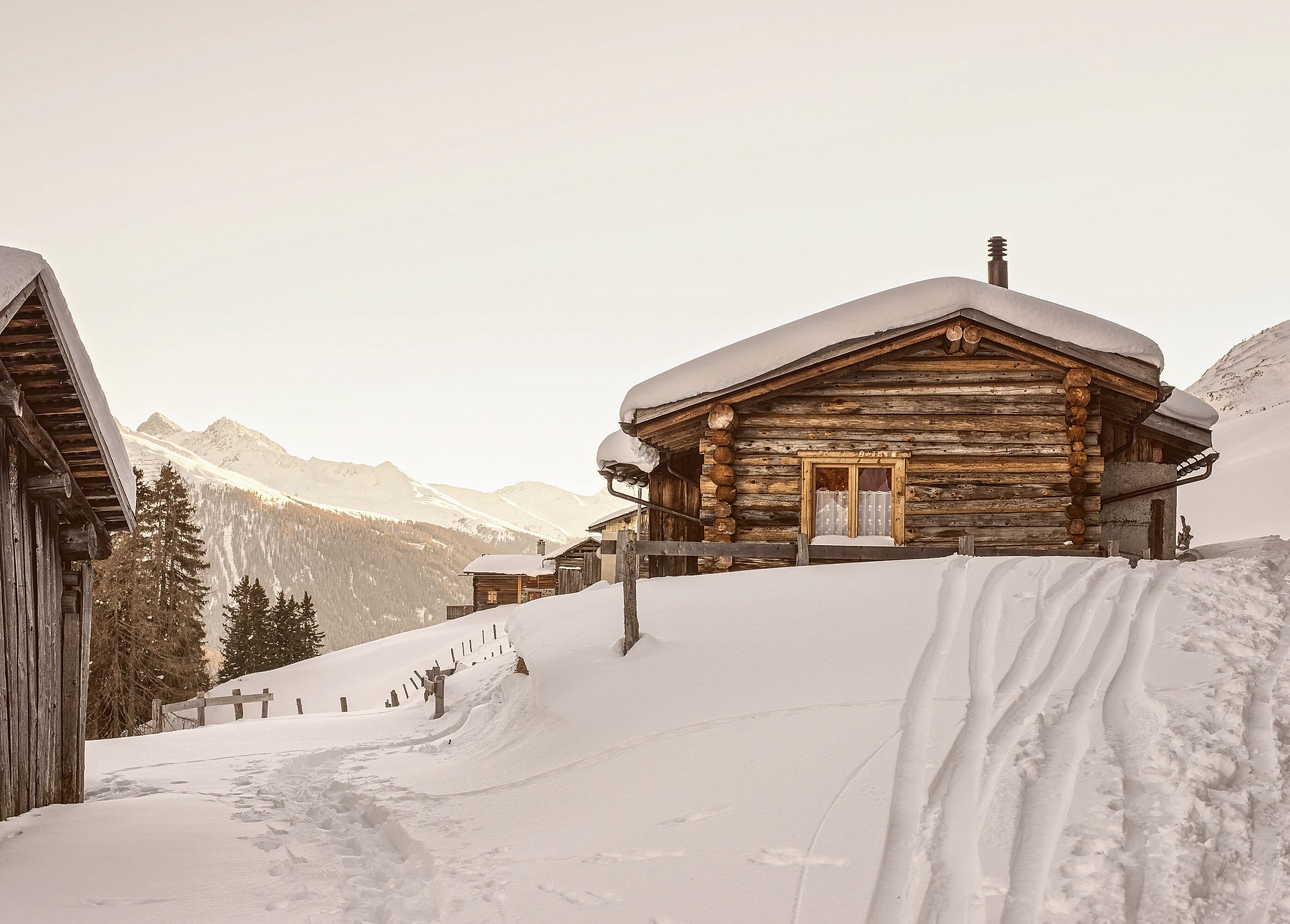 Tout Shuss - Assortiment de 3 Bougies Artisanales Parfumées à La Cire Soja Naturelle Première Neige,