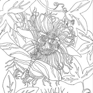 Puede incluir: Ilustración en blanco y negro de una flor de la pasión, una libélula y una oruga. La flor de la pasión presenta estambres elaborados, mientras que la libélula y la oruga están representadas con líneas y patrones finos.