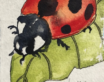 Original Watercolor Painting: Ladybug Beetle