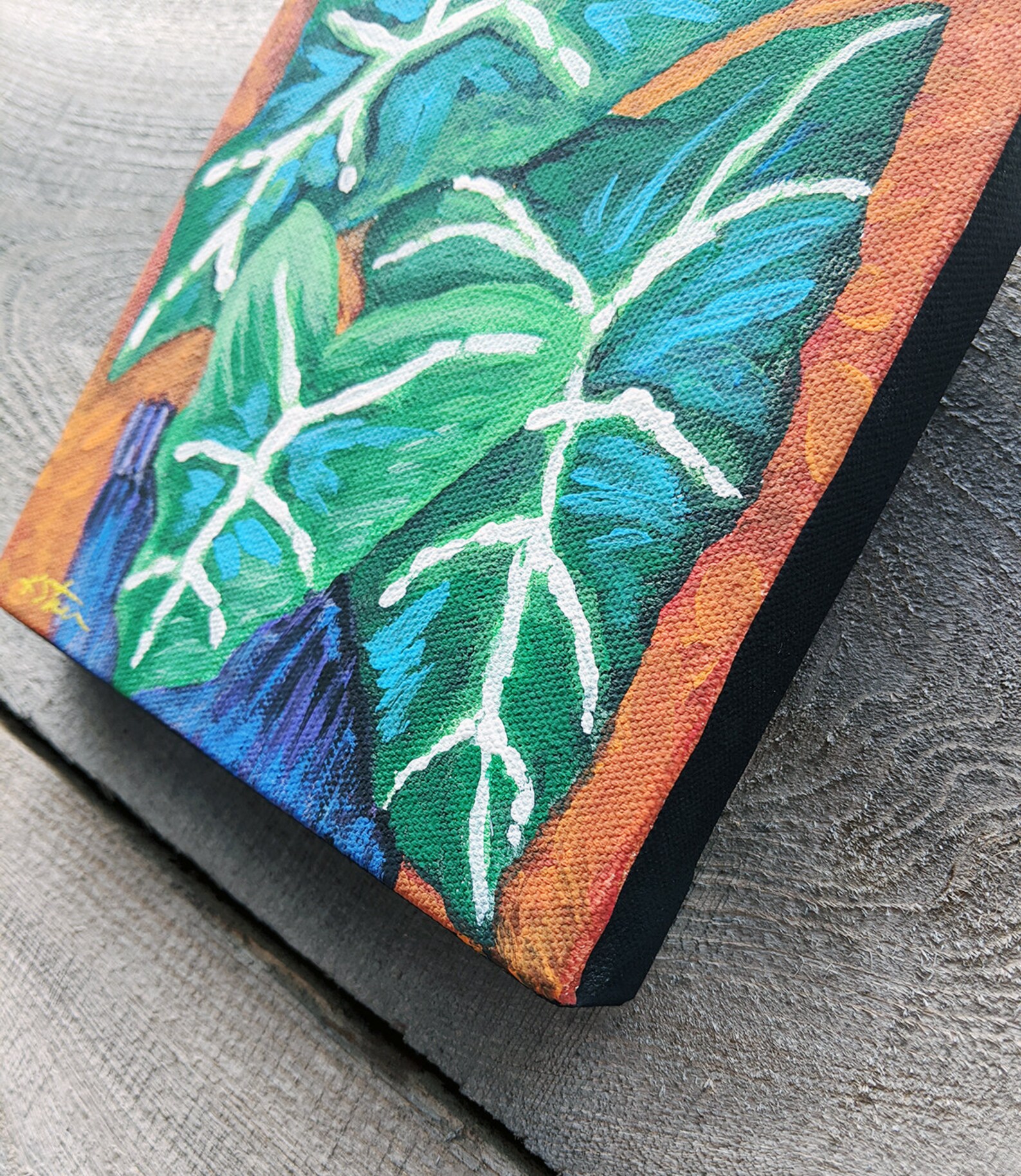 Plant Portraits: African Mask - Etsy