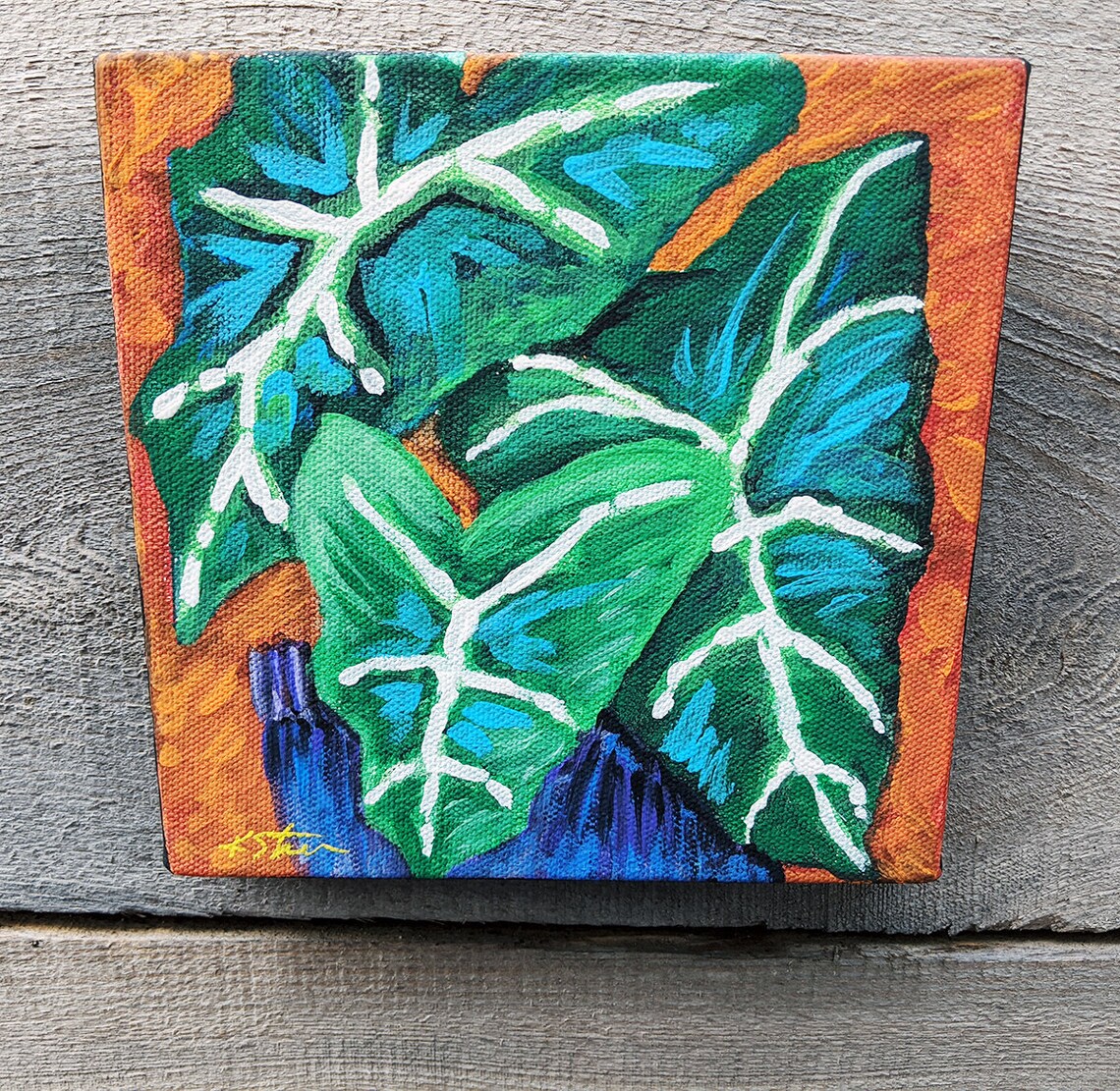 Plant Portraits: African Mask - Etsy