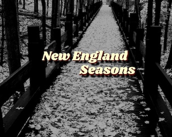 New England Seasons - Deluxe-editie Blu-ray 3D