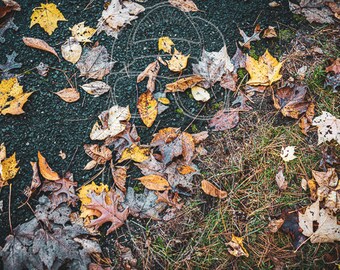Leaf Me Alone