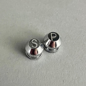 May include: Two silver metal salt and pepper shakers with the letters "S" and "P" engraved on the top.
