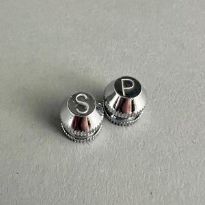 May include: Two silver metal salt and pepper shakers with the letters "S" and "P" engraved on the top.