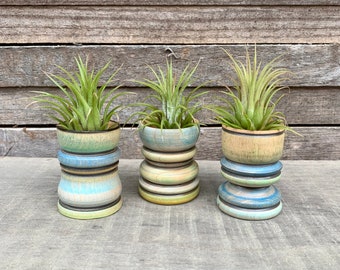 Air Plant Holder, Home Decor, Colorful, Gift Idea, Set of 3