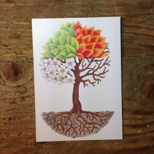 Postkarten-6er-Set mit Jahreszeitenbaum, illustriert, koloriert, 10.5 x 15 cm, Baum der Jahreszeiten