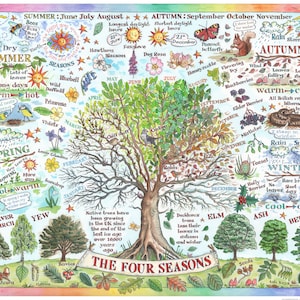 POSTER Vier Jahreszeiten Amanda Loveverseed Fun Facts Lernwetter Bäume Natur Kunstdruck Kinderbild Schulgeschenk Illustration A2