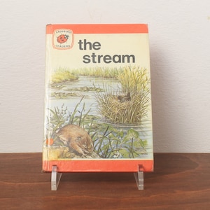 The Stream Ladybird Book