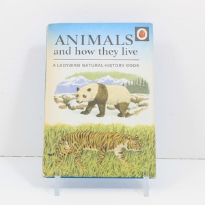 Animals and How They Live Ladybird Book, Vintage Children&#39;s Books