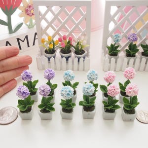 May include: Miniature potted flowers in shades of purple, blue, and pink. The tiny plants are in white square pots. Some are arranged in front of white picket fences. A hand and a coin are in the foreground.
