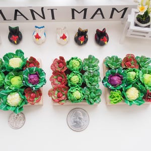 1:12 Scale 9 Plants Miniature Vegetable Raised Garden Bed | Dollhouse Veggies Planter | Fairy Garden Decoration (Clay & Wood) Model A to C