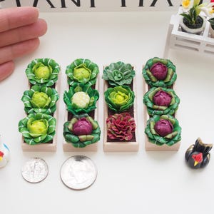 1:12 Scale 3 Plants Miniature Vegetable Raised Garden Bed | Dollhouse Veggies Planter | Fairy Garden Decoration (Clay & Wood) Model F to I