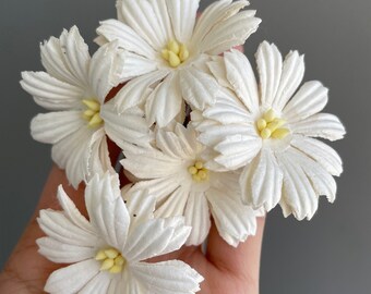 May include: A bunch of white paper flowers with yellow centers. The flowers are arranged in a hand.