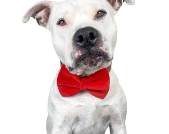 Santa Red Velvet Dog Bow Tie, Christmas Dog Bows, Velvet Cat Bow Tie, Velvet Dog Collar Bow