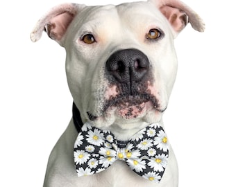 Dog Bow Tie | Floral Dog Bow Tie | Pet Bow Tie | Cat Bow Tie | Black Dog Bow Tie | Summer Bow Ties For Dogs | Puppy Bow Tie | Dog Bows